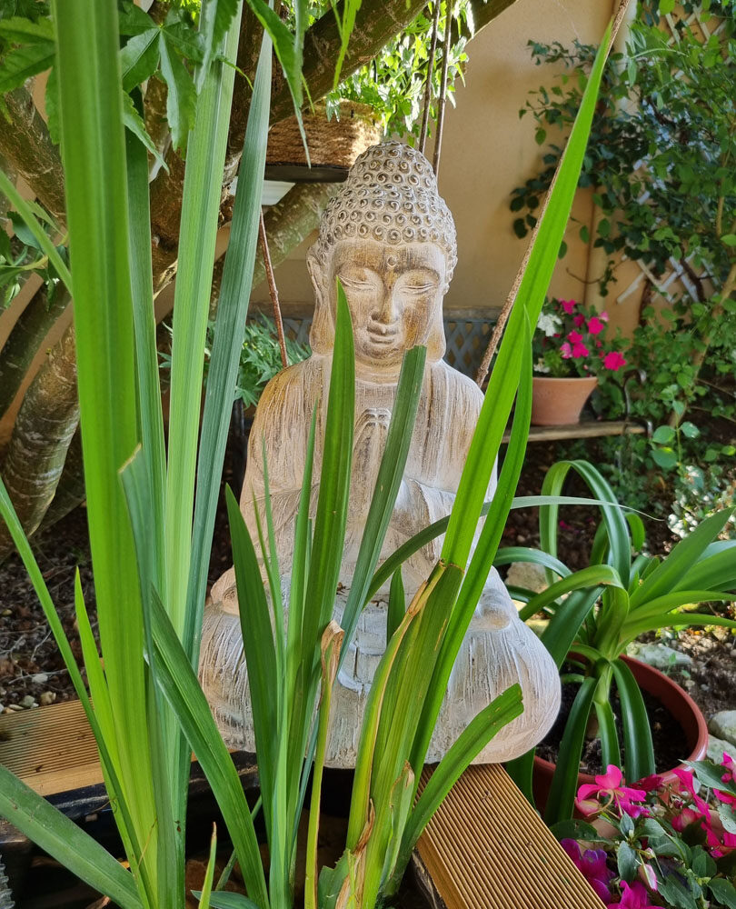 les chenes rouges chambres dhotes castelnaud milandes decoration jardin