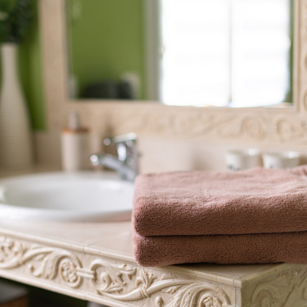 Chenes Rouges Location Gite Couple Milandes Castelnaud 8