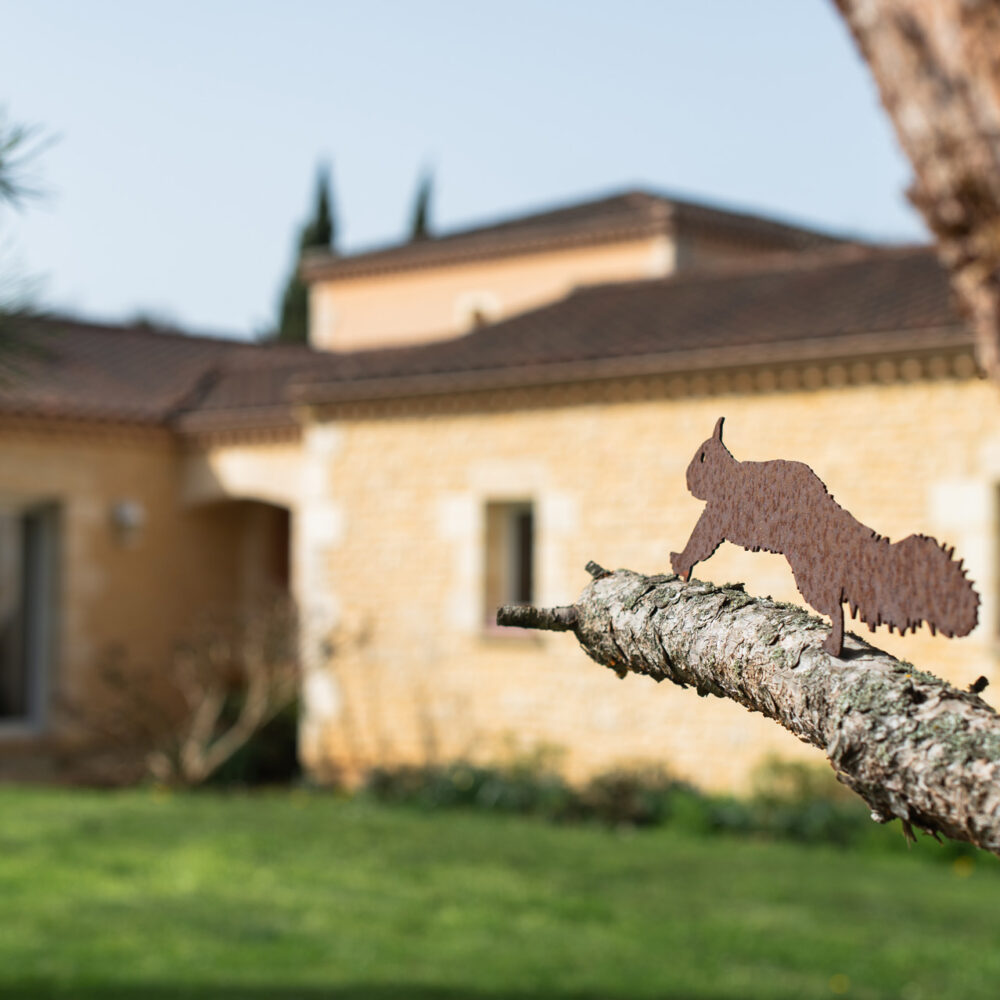 chambres dhotes chenes rouges milandes perigord noir jardin piscine 12