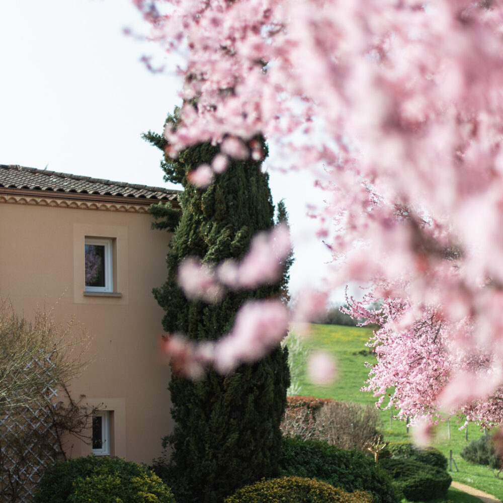 chambres dhotes chenes rouges milandes perigord noir jardin piscine 19