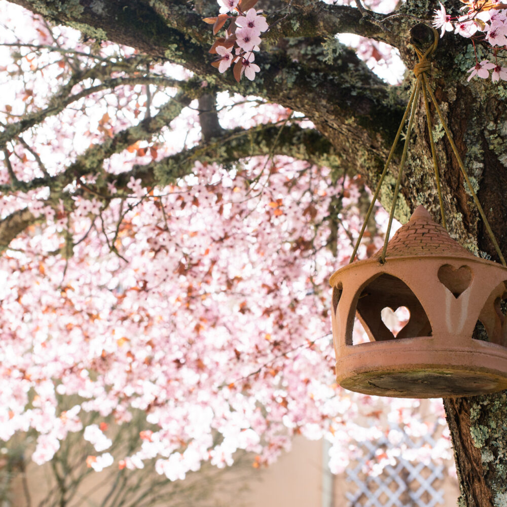 chambres dhotes chenes rouges milandes perigord noir jardin piscine 26