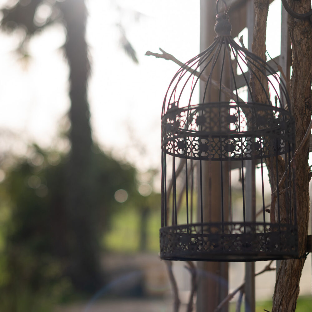 chambres dhotes chenes rouges milandes perigord noir jardin piscine 54