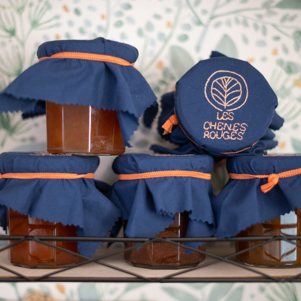 petit dejeuner chambres dhotes milandes castelnaud 18